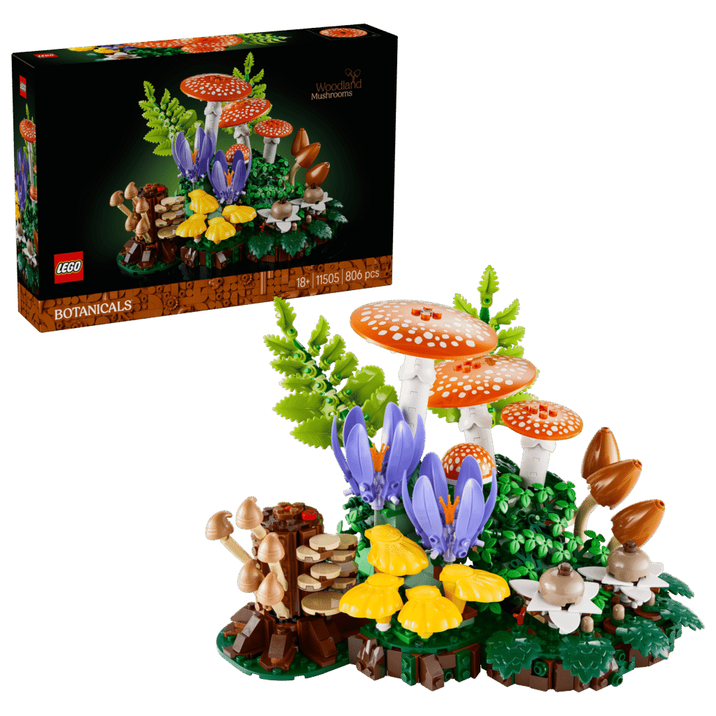 LEGO 11505 Setas del Bosque